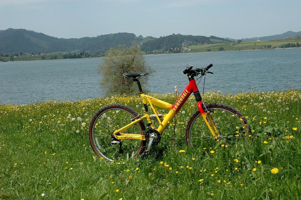 B&B Ferienhof Am See Willerzell Экстерьер фото