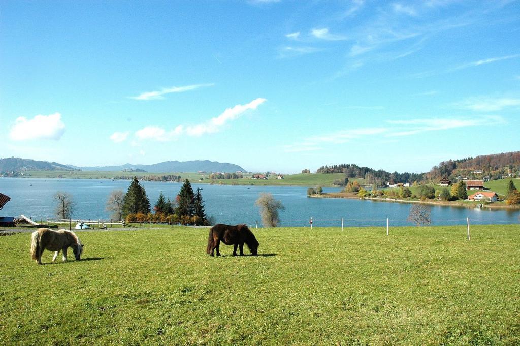 B&B Ferienhof Am See Willerzell Экстерьер фото